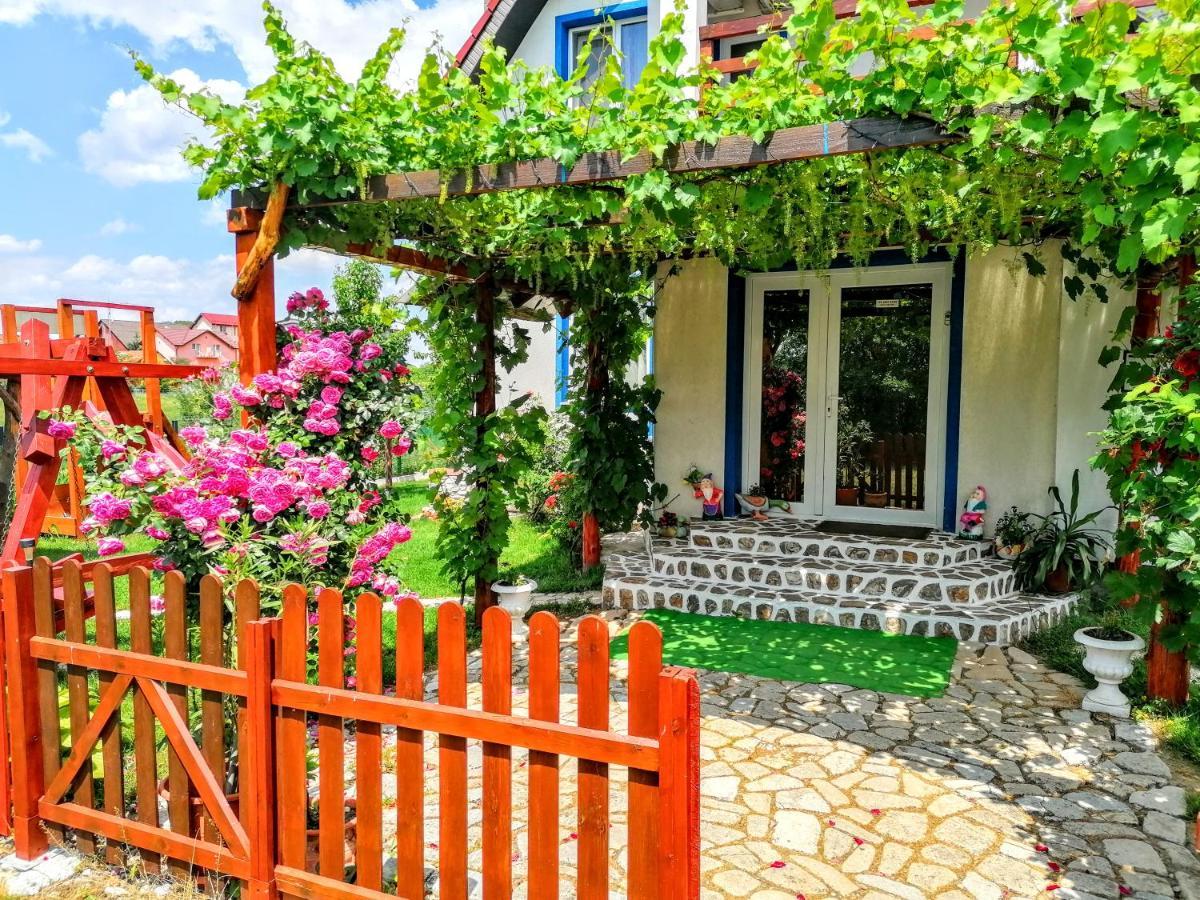 Teo Guest Rooms Băile Felix Eksteriør billede